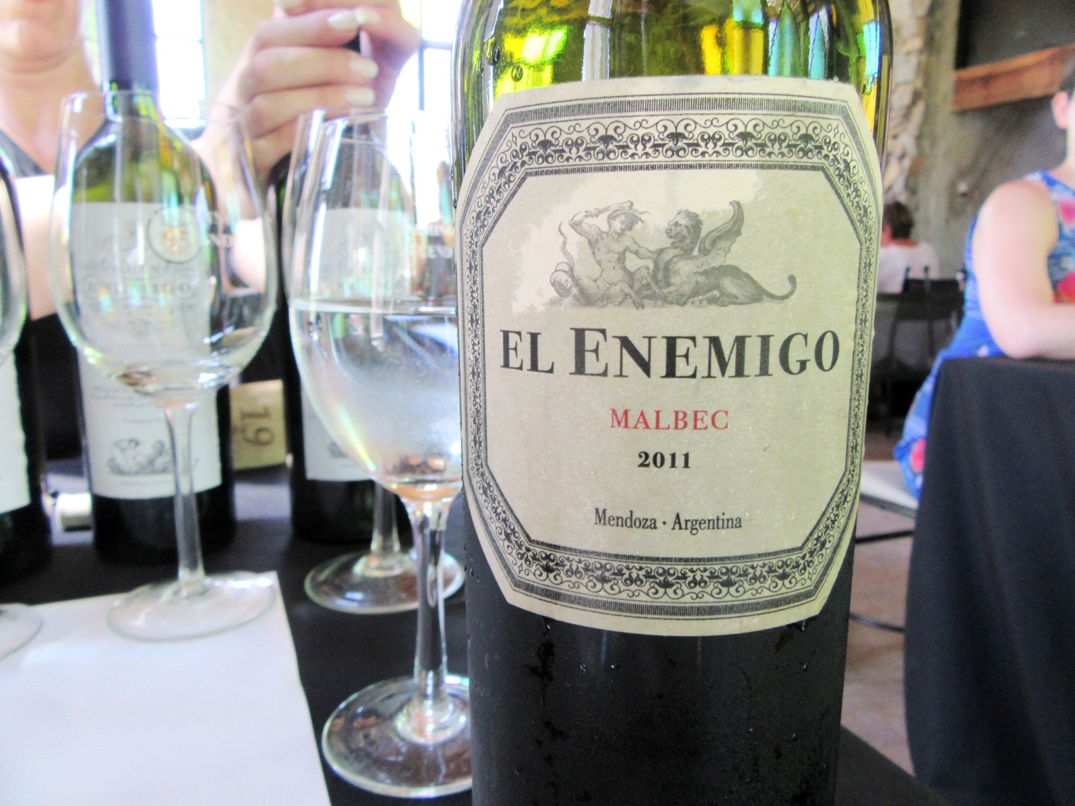 El Enemigo, Malbec 2011, Mendoza, Argentina, Wine Casual