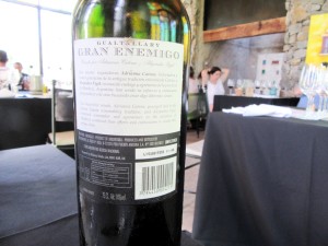 El Enemigo, Gran Enemigo Gualtallary Cabernet Franc 2011, Mendoza, Argentina, Wine Casual