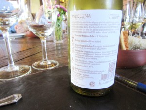 Andeluna, Altitud Chardonnay 2012, Tupungato, Uco Valley, Mendoza, Argentina, Wine Casual