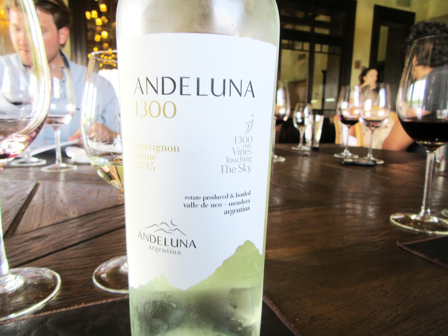 Andeluna, 1300 Sauvignon Blanc 2015, Uco Valley, Mendoza, Argentina, Wine Casual