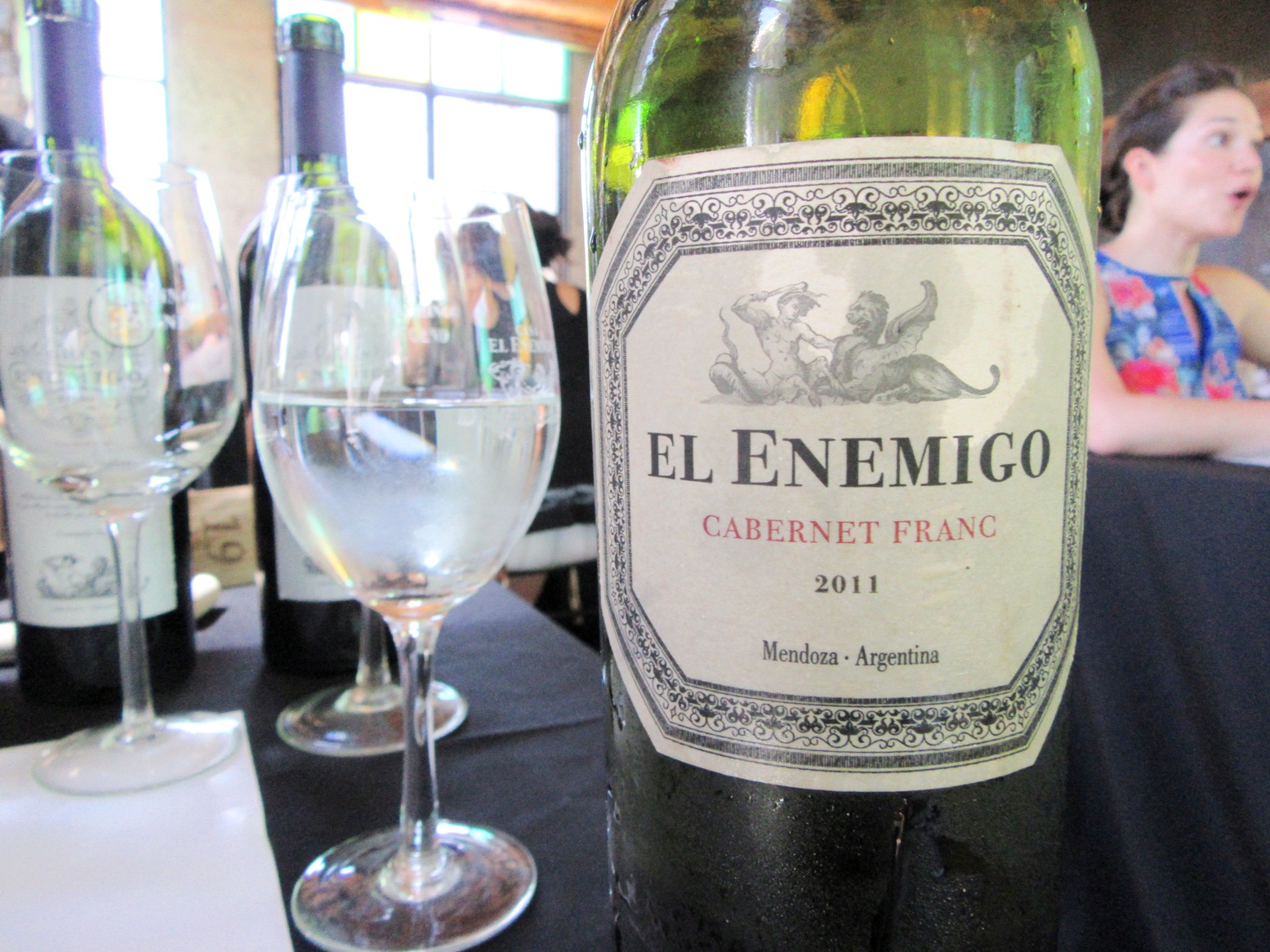 El Enemigo, Cabernet Franc 2011, Mendoza, Argentina, Wine Casual