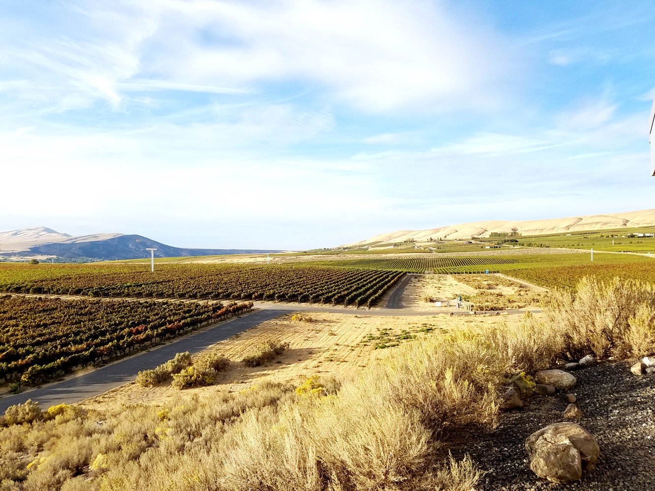 6 Reasons Why Wine Lovers Should Visit Red Mountain