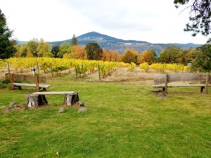 Photo Credit: Wine Casual, Enjoy the view sitting in benches at Cathedral Ridge Winery.