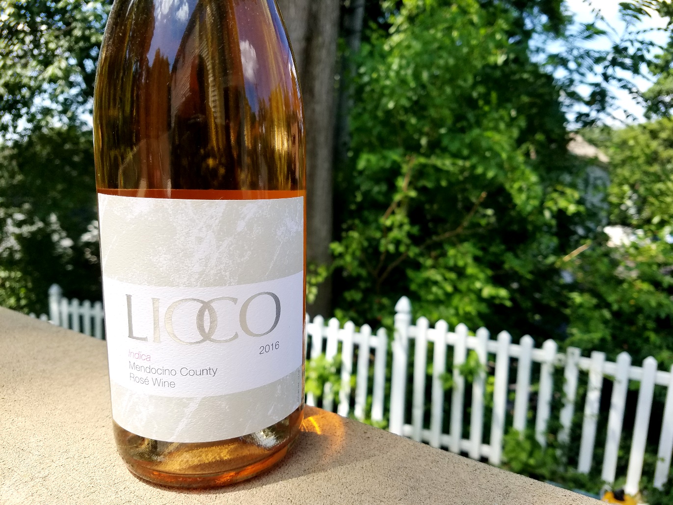 Lioco, Indica Rosé 2016, Mendocino County, California, Wine Casual