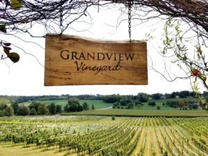 Grandview Vineyard in Mount Joy, Pennsylvania..  Wine Casual.