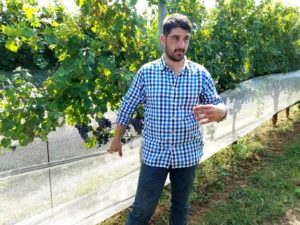 Davide Creato, Penns Woods Winery's assistant winemaker. Wine Casual. 