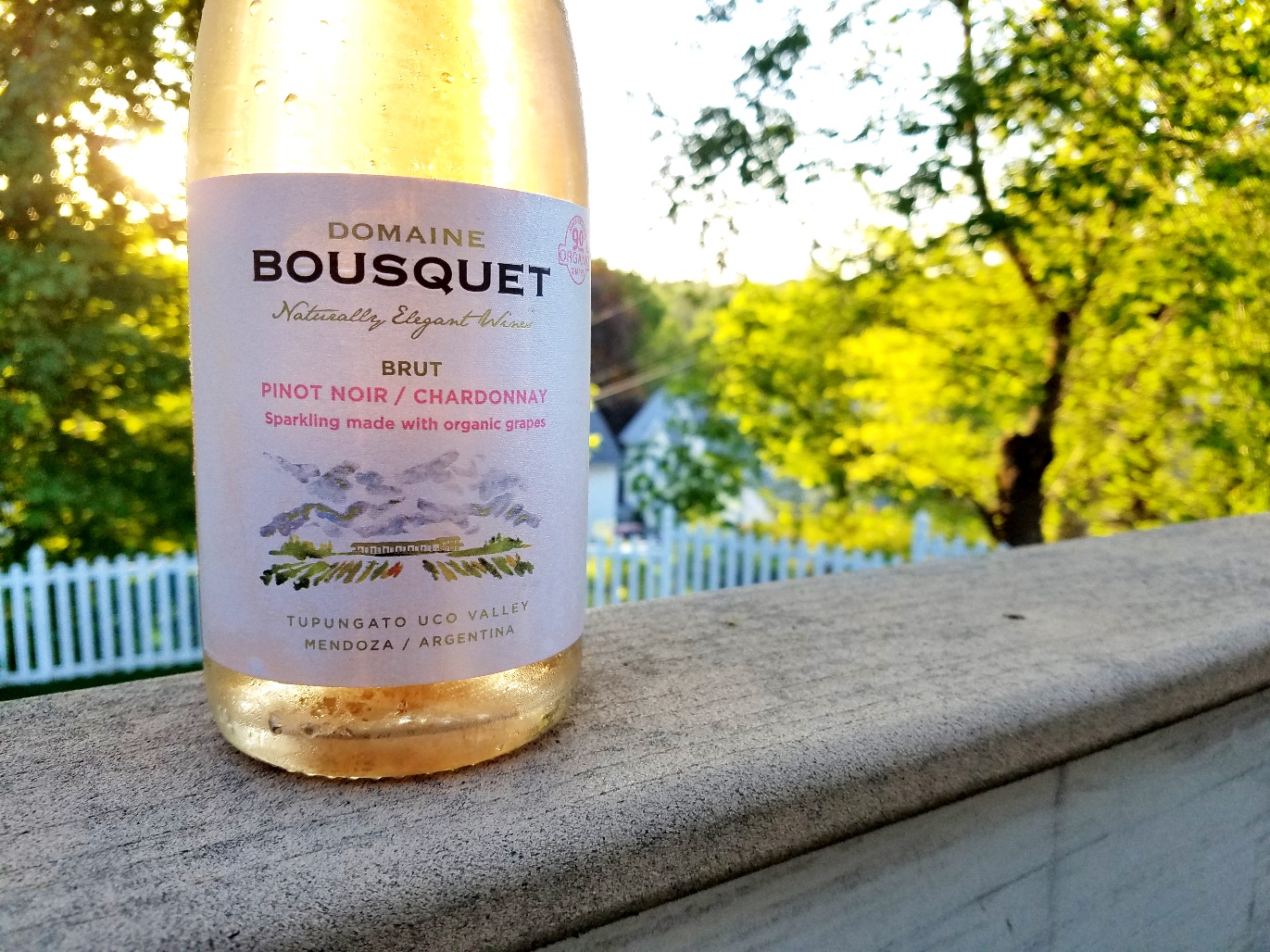 Domaine Bousquet, Pinot Noir – Chardonnay Brut, Tupungato, Uco Valley, Mendoza, Argentina, Wine Casual