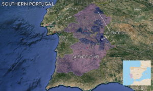Wines of Alentejo Sustainability Program WASP Portugal