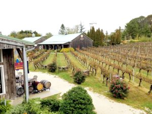 Cape May Winery & Vineyard, Wine Casual