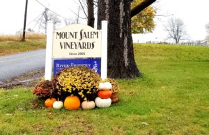Mount Salem Vineyards is a boutique winery that only produces 1,500 cases of wine a year.  Wine Casual