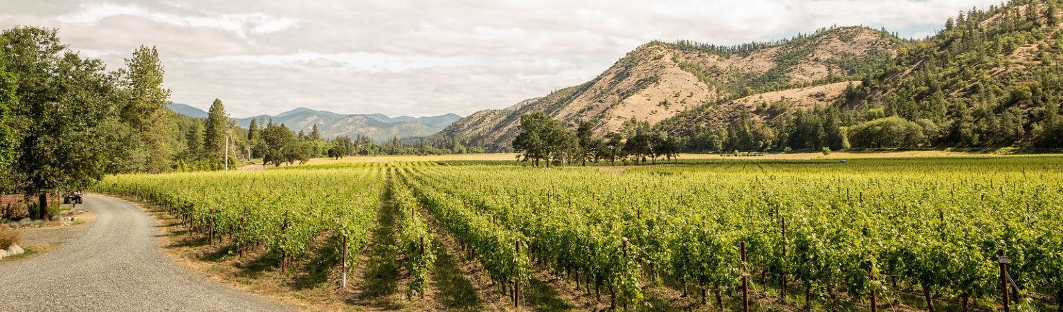 Celebrating 60 Years of Oregon Winemaking: A Tasting of 6 Under-the-Radar Oregon Wines, Wine Casual