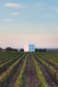 Esporão began its journey towards organic certification in 2008.  Wine Casual