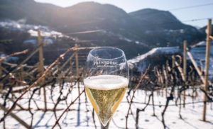 What to Expect from a Trentodoc Sparkling Wine, and How it Compares to Other Traditional-Method Sparkling Wines, Wine Casual