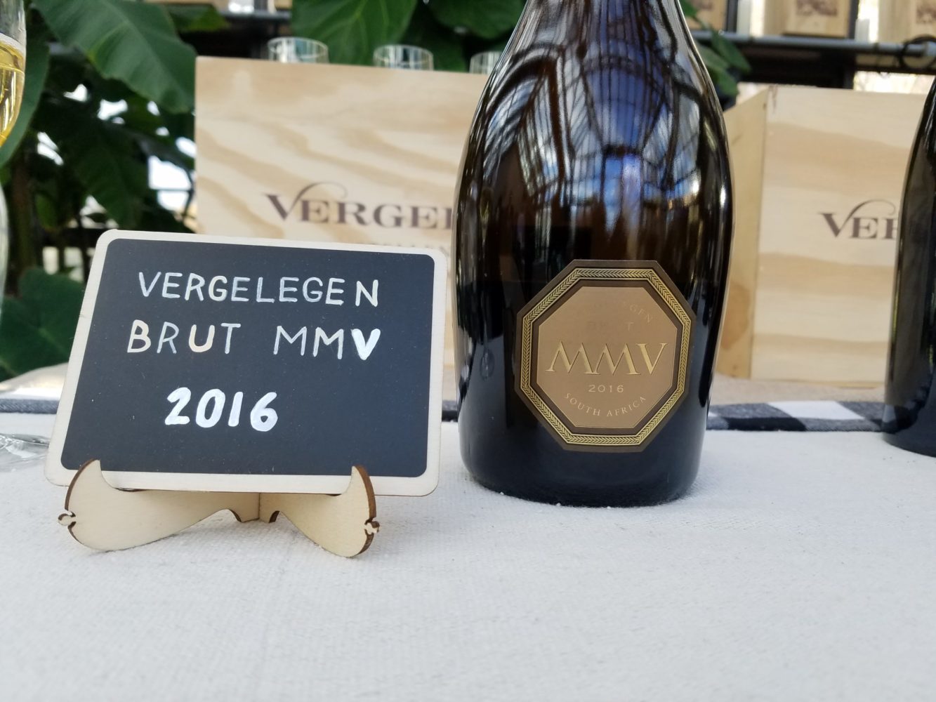 Vergelegen Wine Estate's VClub Brings South African Wine to U.S.