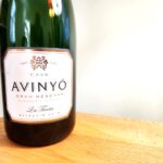 Avinyó Selecció, La Ticota Gran Reserva Cava Brut Nature 2016, Catalonia, Spain, Wine Casual